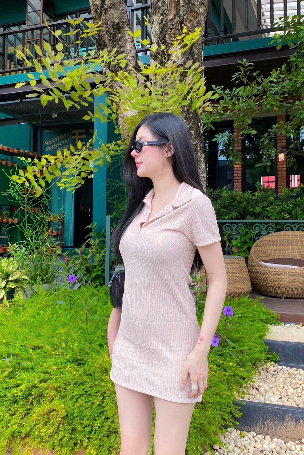 Basic Collar Short Dress