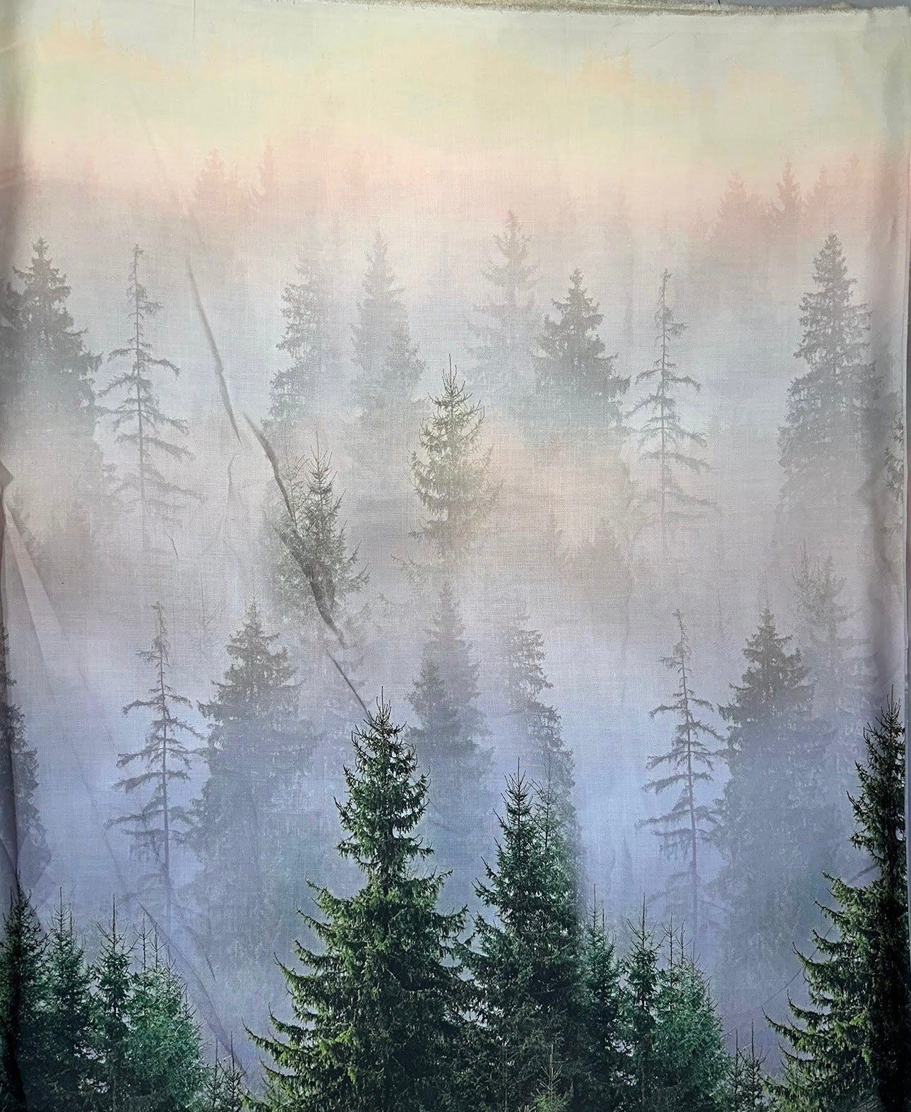 Green Forest Co-ordinates