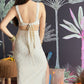 Beige-Silver Festive Set