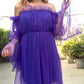 Dual Shade Ruffled Net Dress